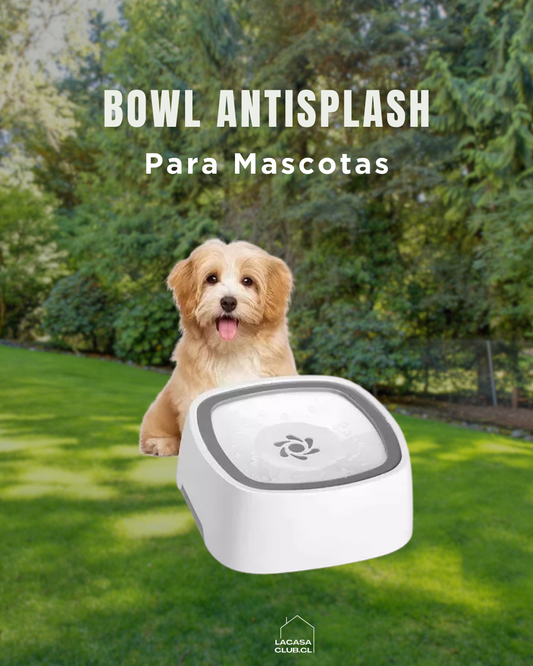 Bowl antisplash para tus mascotas